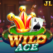Wild Ace at Arena Plus PH